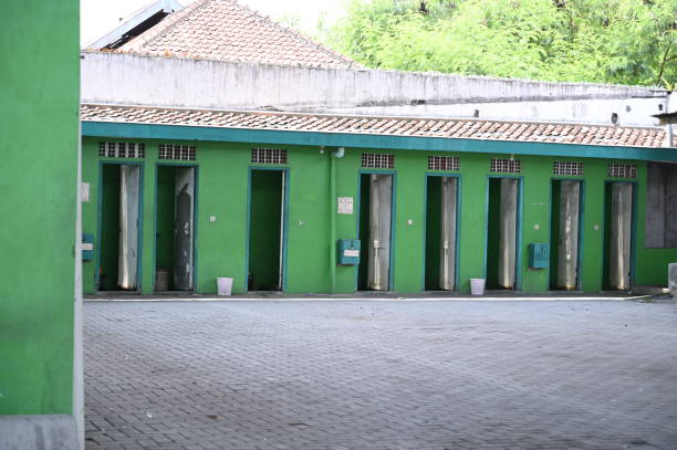 Best Sanitation services for porta potties  in Lolo, MT